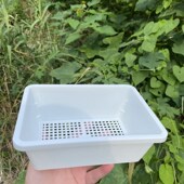 长方形多肉塑料盆生石花播种叶插育苗盘种植蓝扦插育苗盆肉锥pp盆