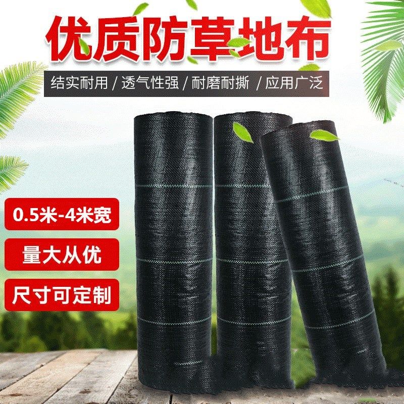 防草布除草布农用果树果园地膜抑草除草地布大棚菜地抗老化盖草布