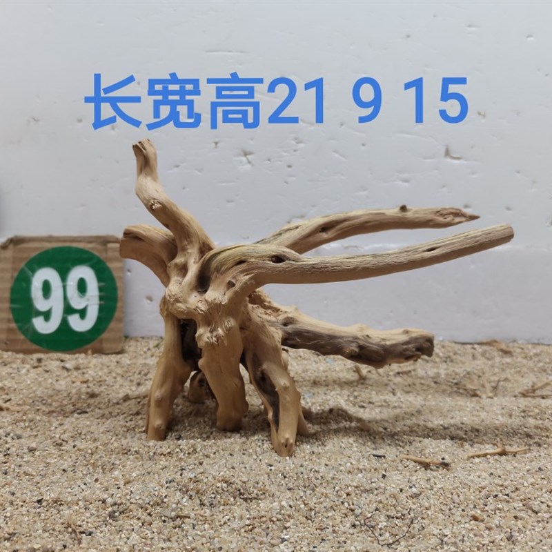 杜鹃根树桩栖根草缸造景沉木水陆缸雨林缸南美缸一木成景爬宠缸架