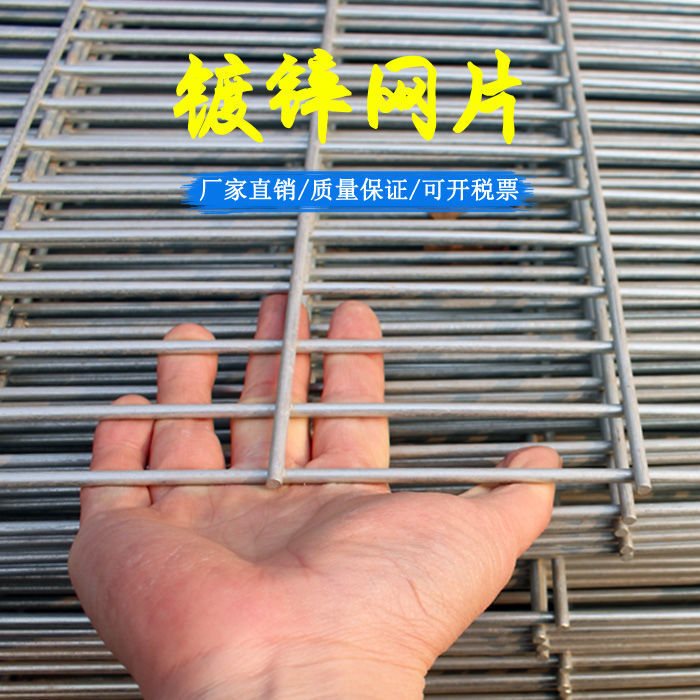 速发镀丝养锌网铁网格网片加粗铁殖网围栏电焊铁丝网围栏镀锌鸟笼
