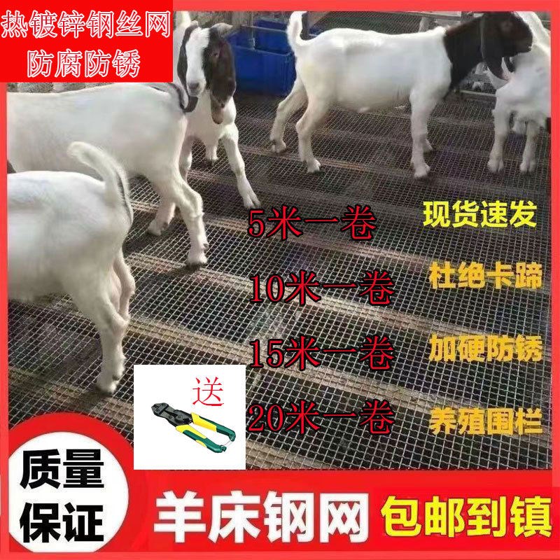 速发羊床钢丝网鸡鸭热镀锌鹅漏养羊养殖养猪L围栏钢网加粗编织漏
