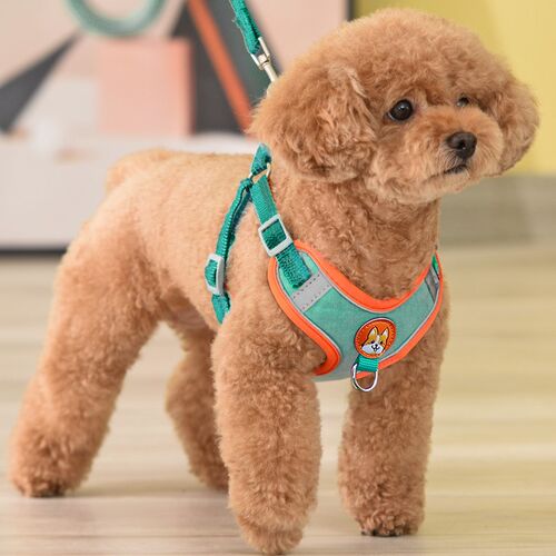 速发背美式小型犬泰迪比熊博心胸背带绳犬遛狗幼狗链子