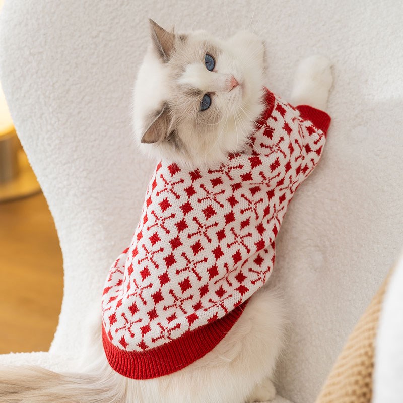 速发小猫咪套头毛衣秋冬衣服防掉毛银渐层暹罗猫蓝猫幼猫秋装