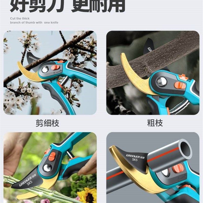 绿林剪枝剪刀果树园艺剪刀修枝剪树枝园林专用花卉修剪枝条果枝剪