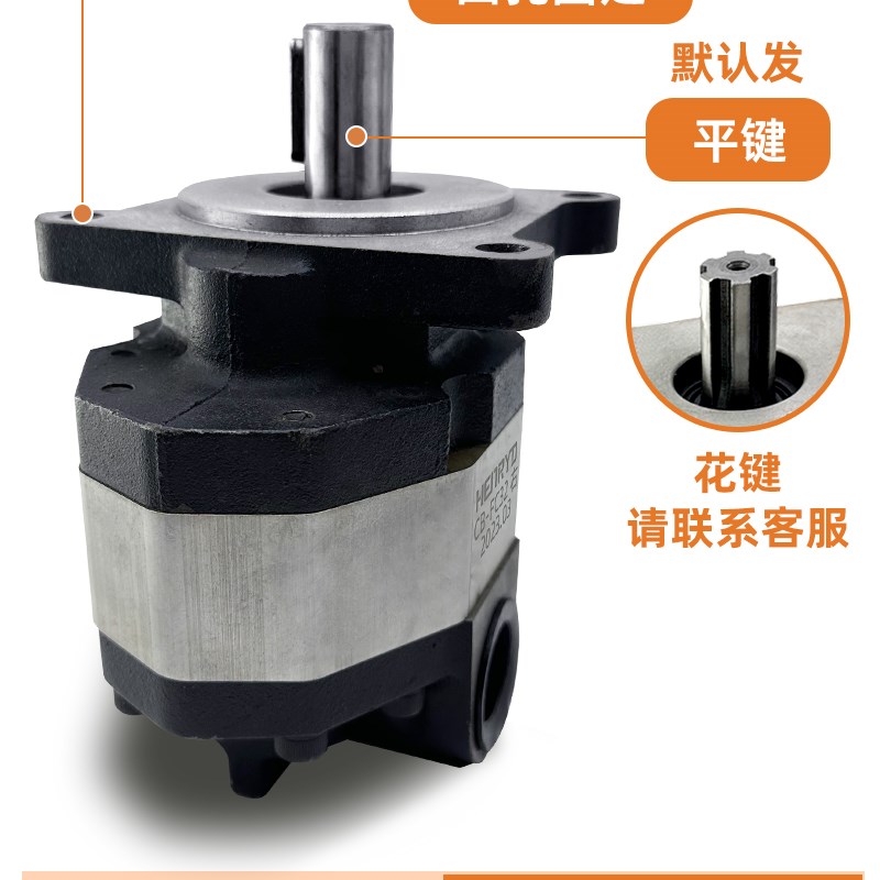 厂销CBFC10齿轮泵CBFC16 CBFC20 CBFC2532405063液压油泵品
