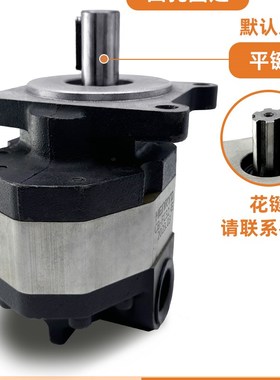 厂销CBFC10齿轮泵CBFC16 CBFC20 CBFC2532405063液压油泵品