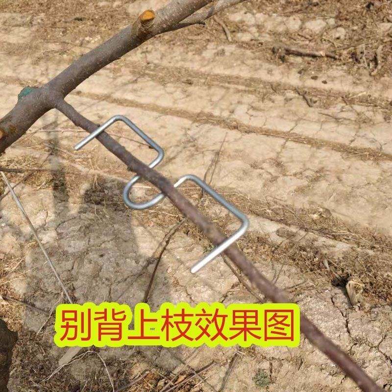 推荐果树拉枝定型器果树拉枝神器月季压枝神器q果树弯枝器别枝器