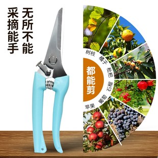 不锈钢修枝剪多用园艺修剪工z具园林果树剪刀园艺剪花园树枝剪