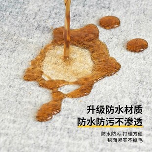 v地垫耐脏易打理垫子家用卧室床边耐脏高 跨境地毯客厅2024新中式