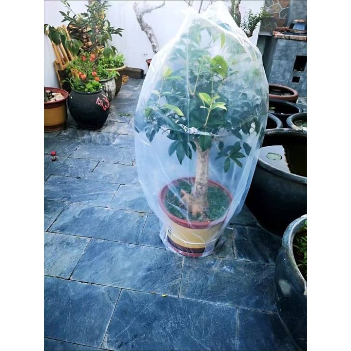加厚树罩防寒罩越冬保暖罩大花卉果树过冬桂花树防冻罩植物保温罩