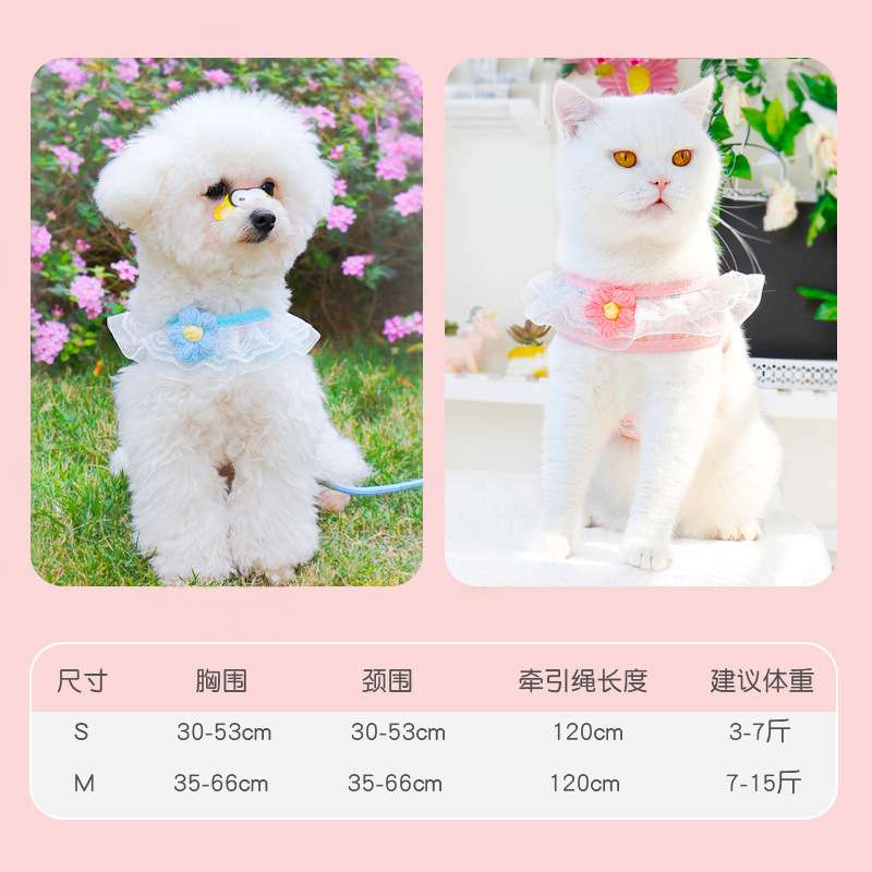 狗狗牵引绳遛狗绳幼犬狗链子小狗小型犬泰迪比熊博美胸背带背心式