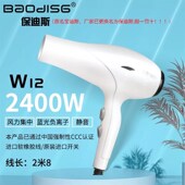 保迪斯宝迪斯W12电吹风机家用大功率冷热风理发店男女通用2400W