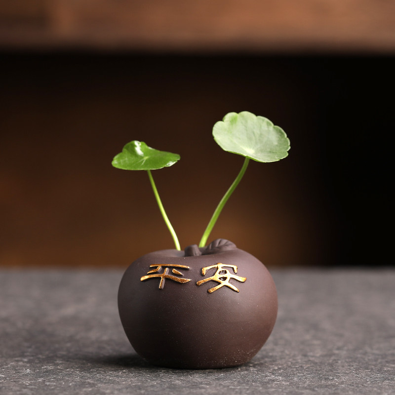 水培花瓶紫砂手绘创意家居装饰品摆件绿萝插花花盆陶瓷铜钱草容器,鲜花速递/花卉仿真/绿植园艺,花瓶,淘宝优惠券,粉丝福利购,淘宝优惠卷