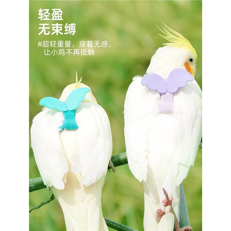 鹦鹉牵引绳外出放飞绳户外遛鸟神器玄凤牡丹超轻不伤脚背带小鸟芰,宠物/宠物食品及用品,鸟用放飞绳,淘宝优惠券,粉丝福利购,淘宝优惠卷