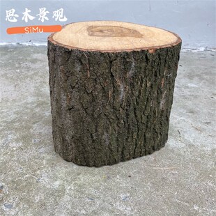 实木树墩天然树桩木墩松树柳树墩木敦子原木凳木头凳子木根木头桩