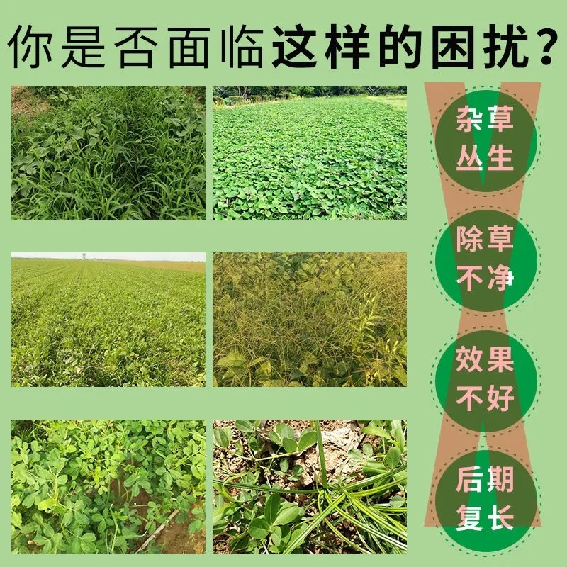 环泰铜除草烂根剂一扫光三年不长草强力烂根神器专用药安全不伤苗