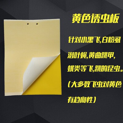 粘虫板双面强力诱虫板黄板篮板大棚果园家用小黑飞白粉虱蓟马包邮