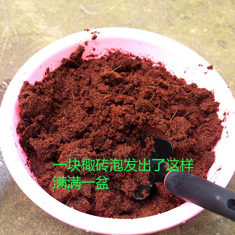 棷砖种花营养土 多肉土专用 养花种菜营养土通用型花肥泥土腐植土