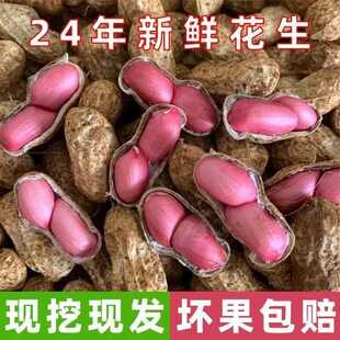 今年现摘新鲜红皮花生5斤广西生花生红衣带壳干花生米农家自种