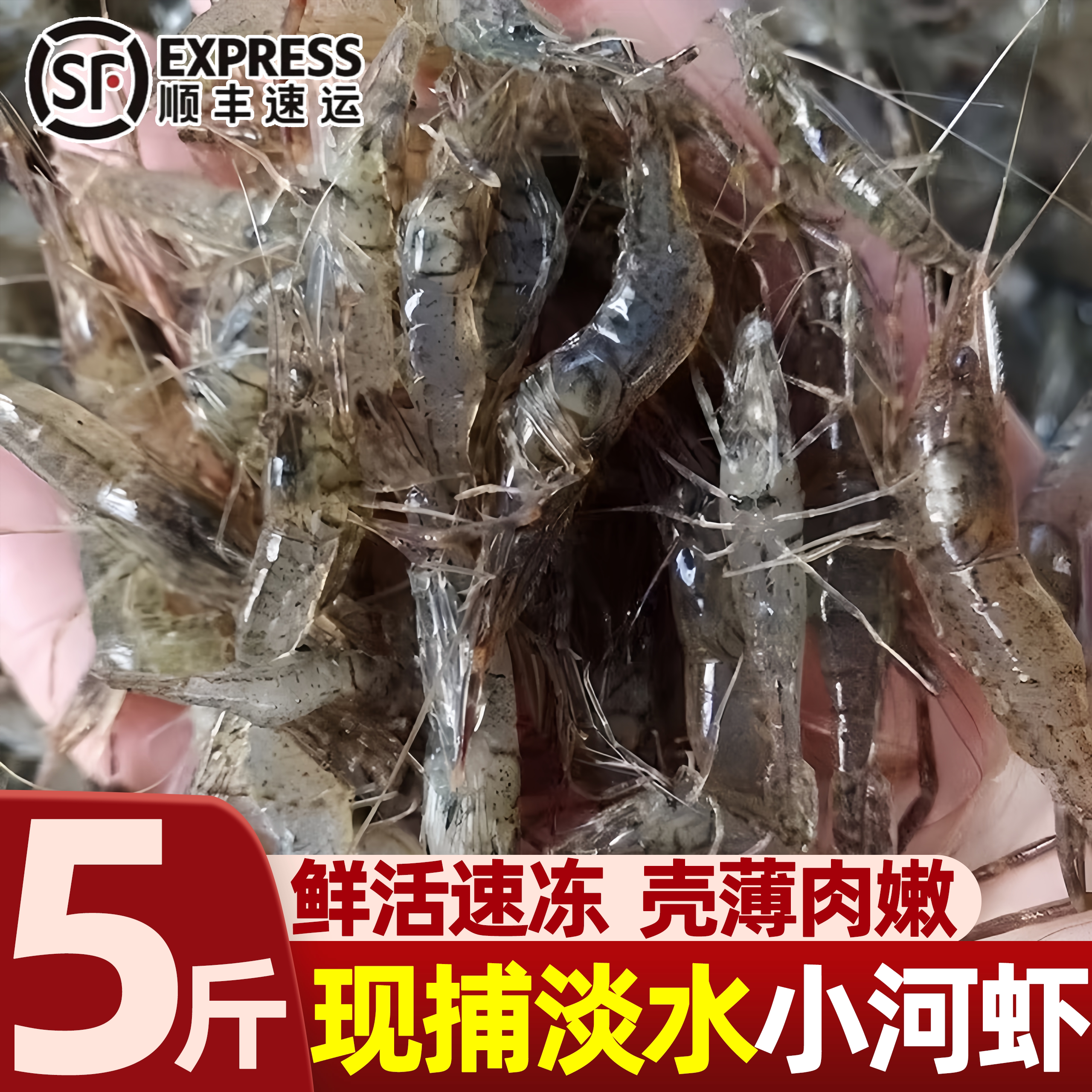 淡水鲜活速冻当季现捕大号河虾