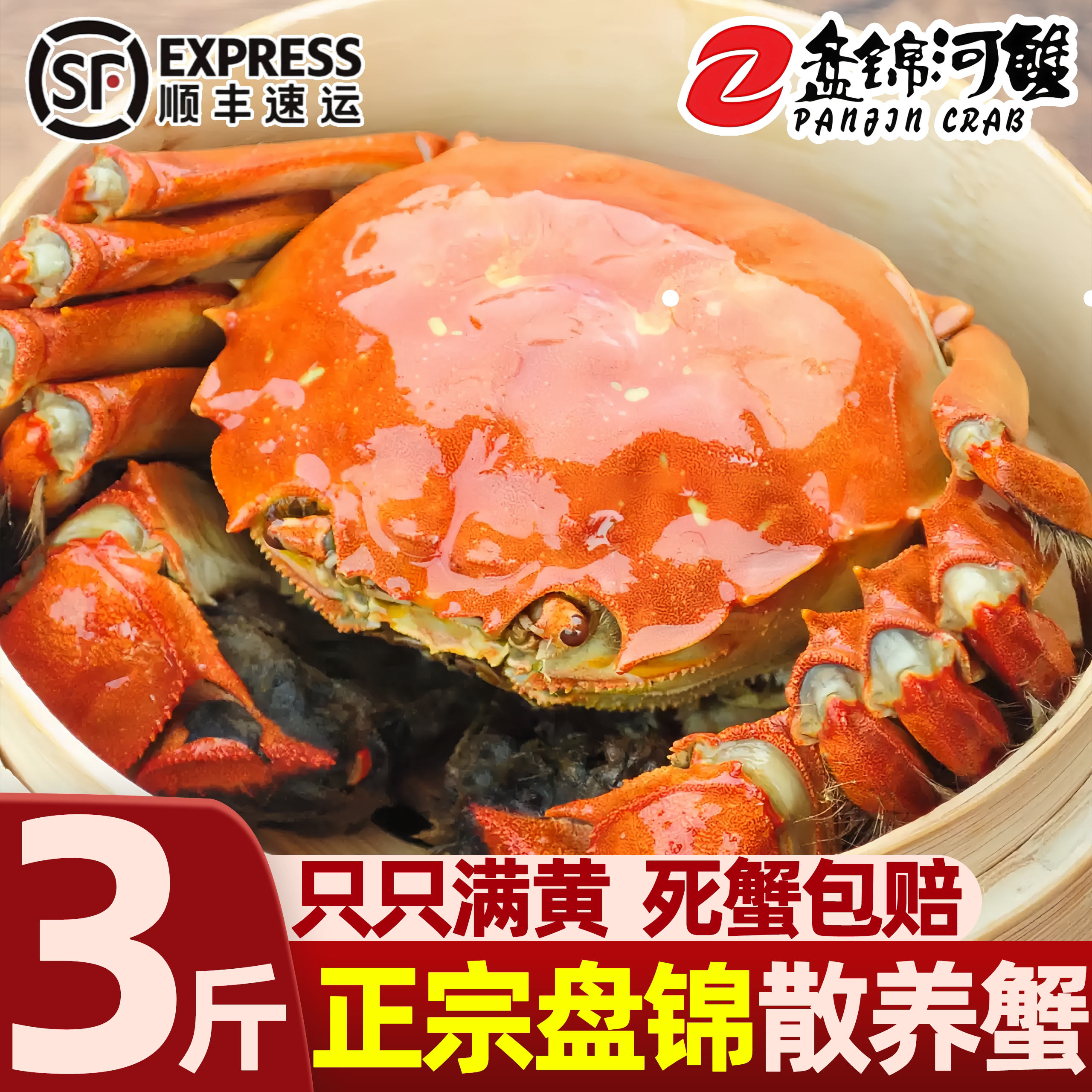 盘锦鲜活大闸蟹现捕现发顺丰包邮