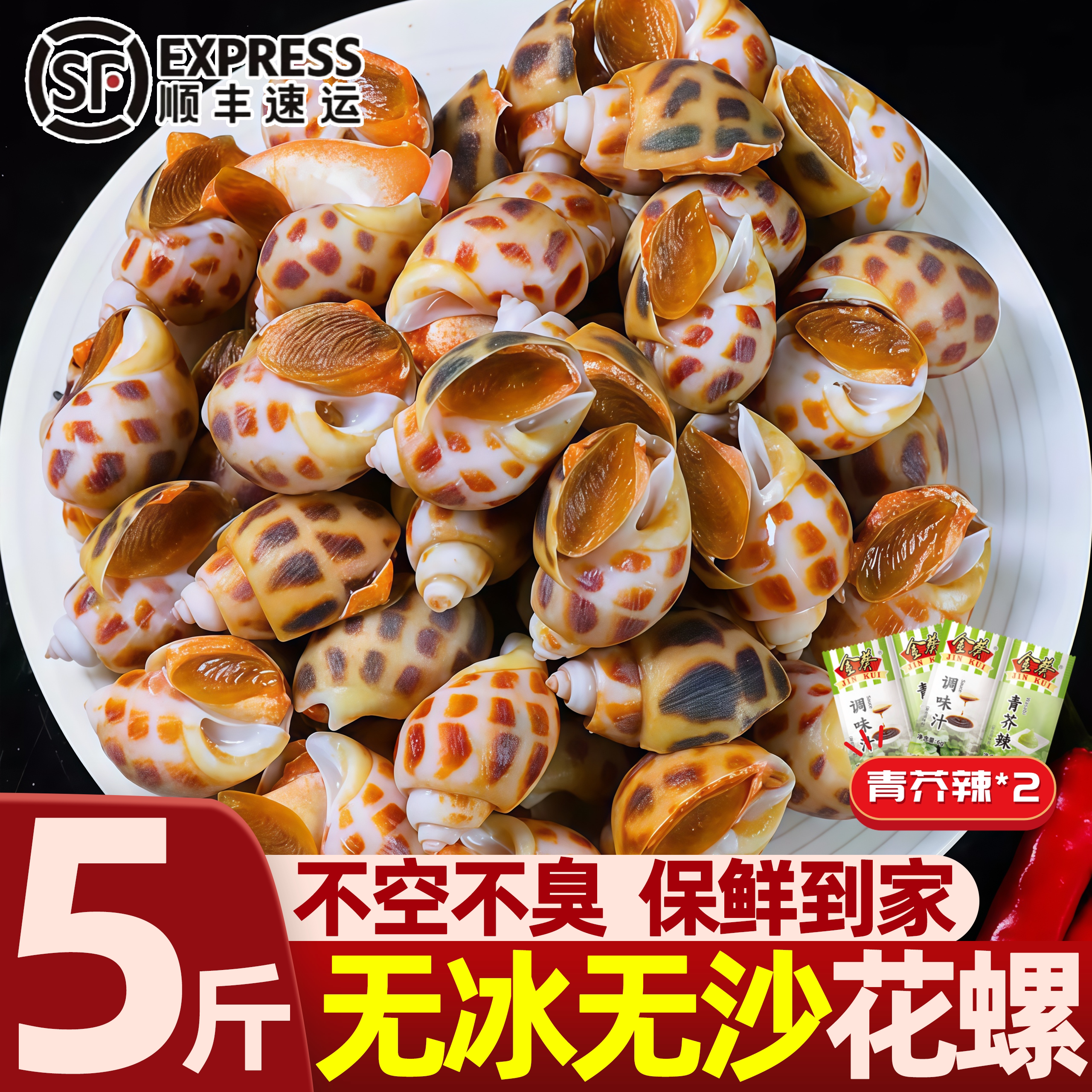 北海鲜冻特大无沙东风螺批发