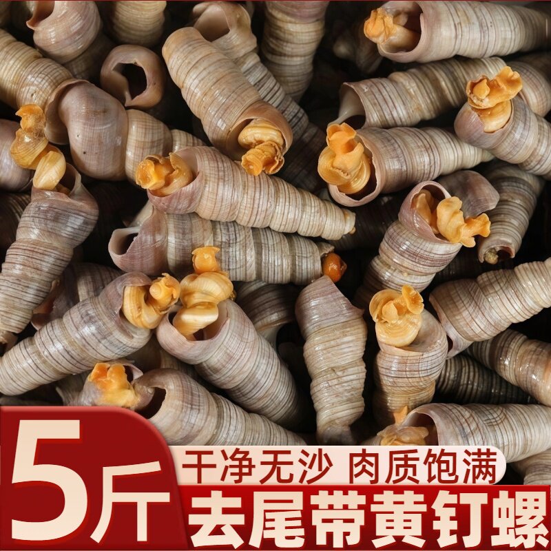 捞汁原料熟冻鲜活去尾商用钉螺