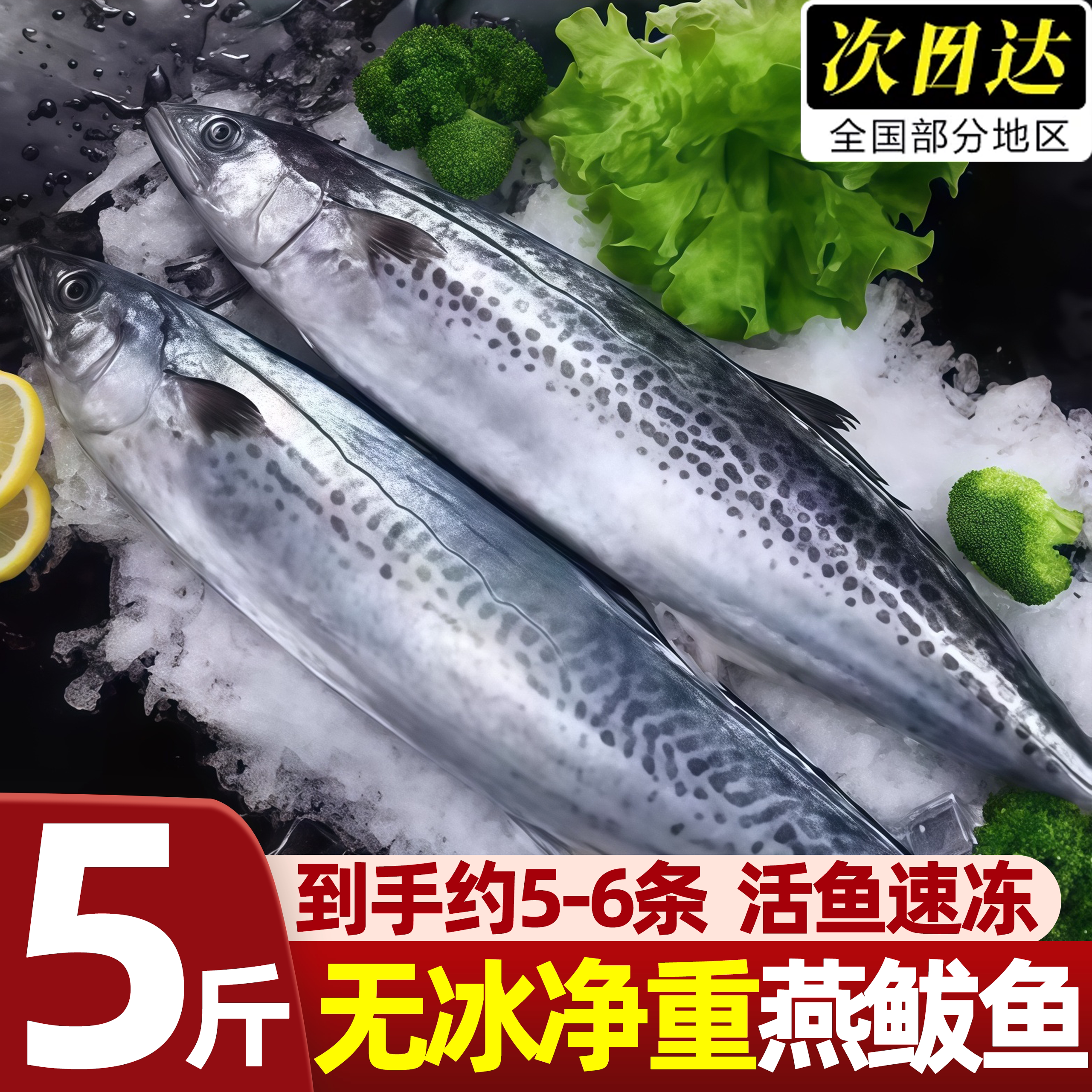 青岛深海新鲜冷冻马鲛鱼5斤