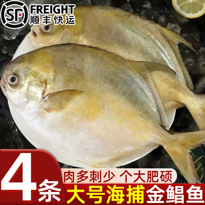 金鲳鱼新鲜海捕鲜活水产速冻冰鲜
