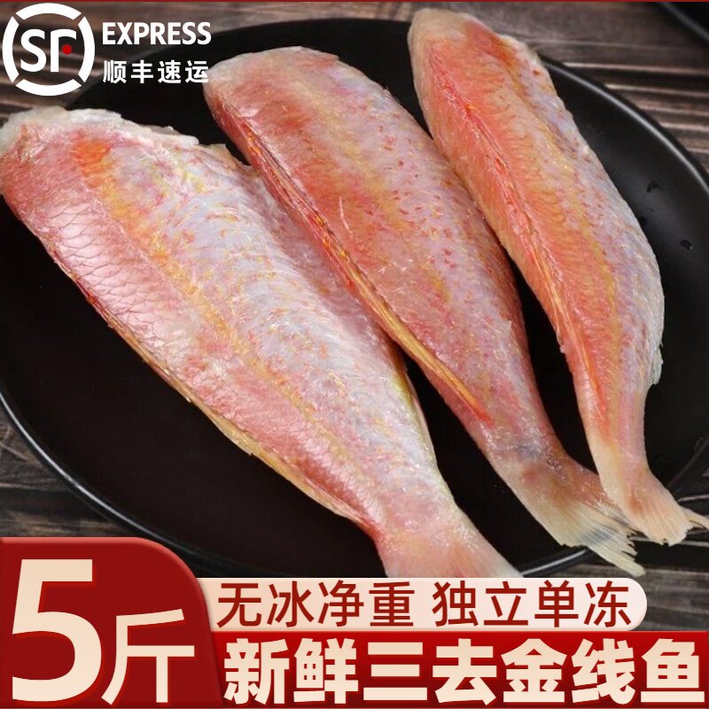 金线鱼新鲜冷冻冰鲜三去免处理