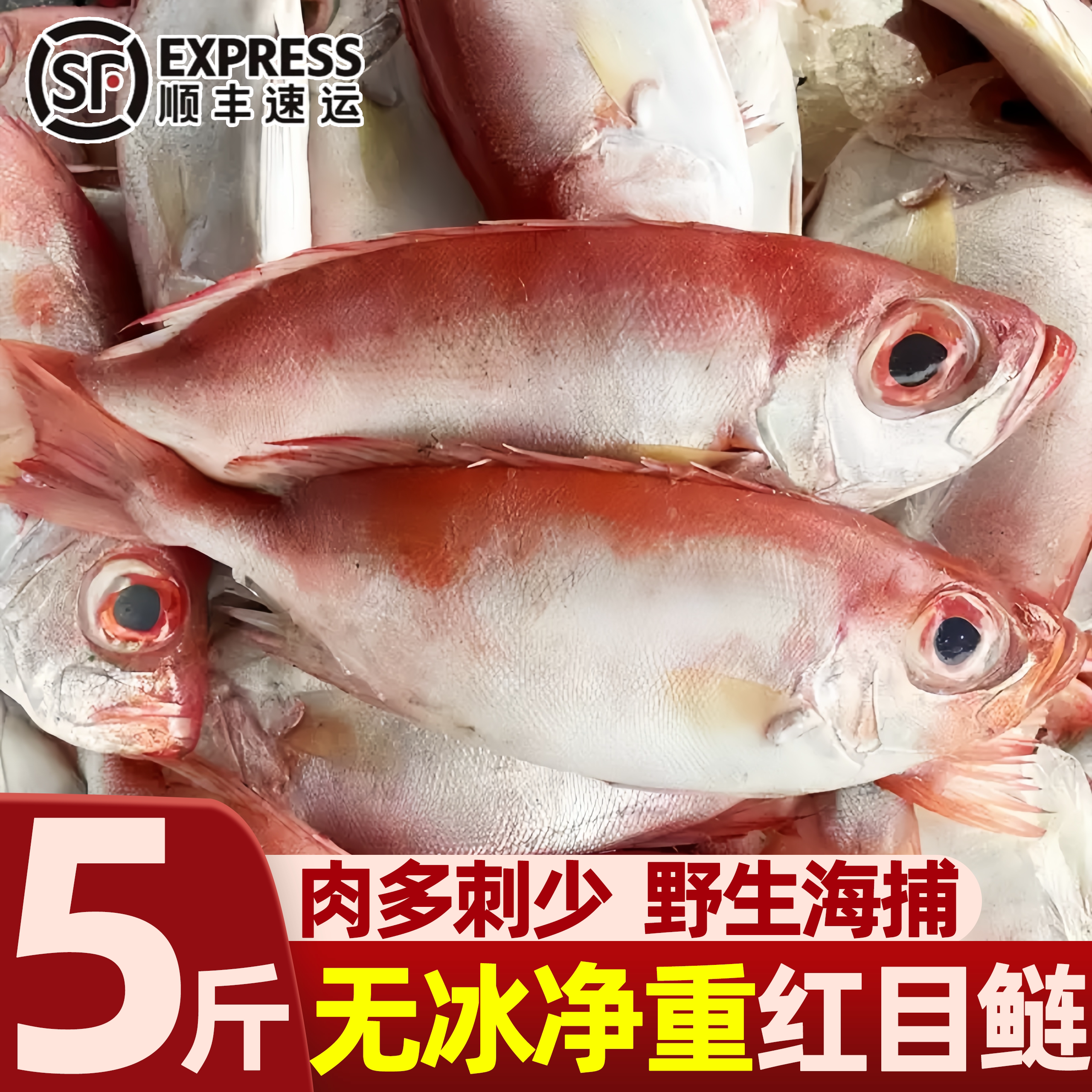 北海海捕大眼鸡鱼新鲜顺丰