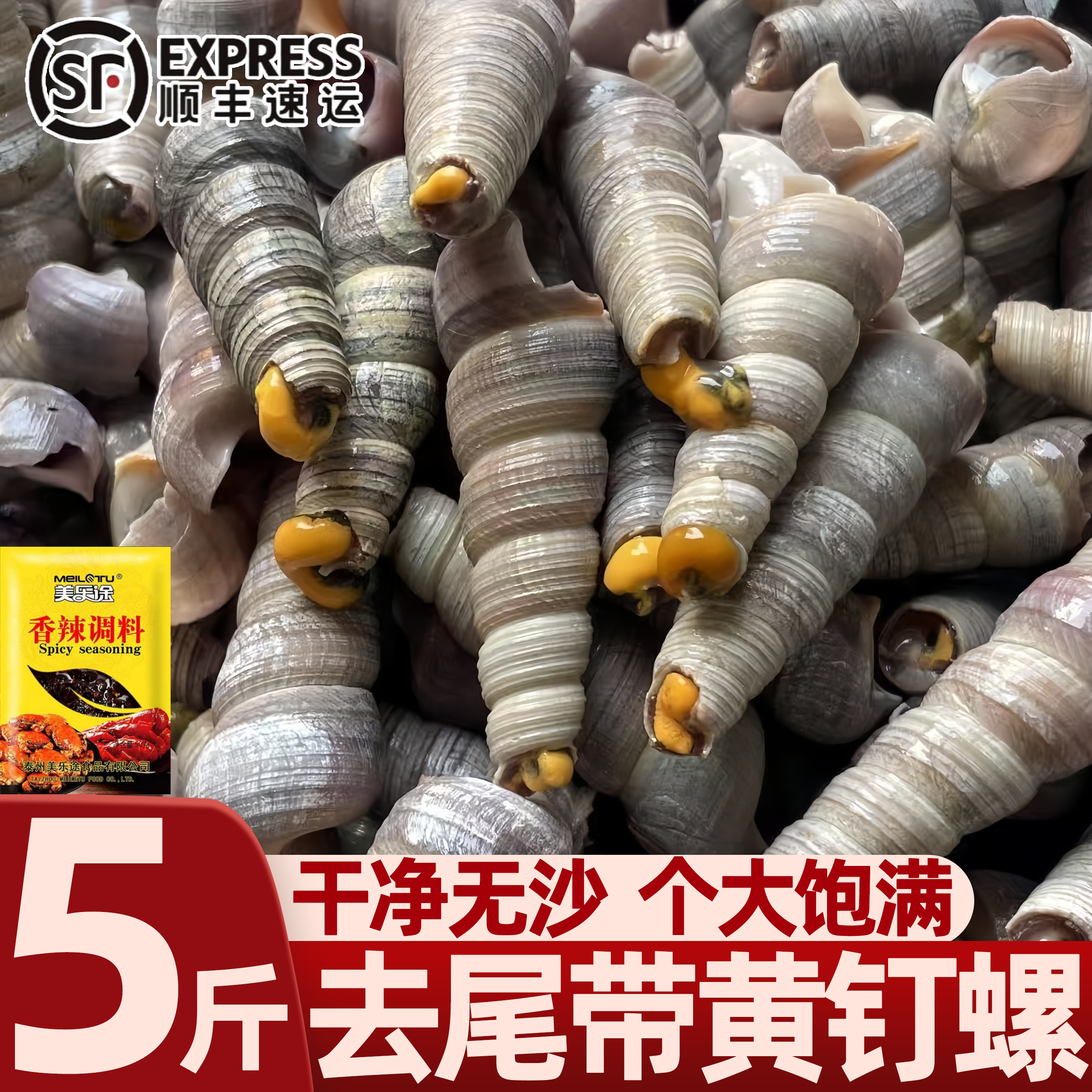去尾带黄钉螺鲜活整箱批发
