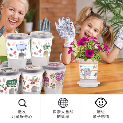 速发儿童迷你小盆栽种植区植物观察体验蔬菜绿植种花卉礼物