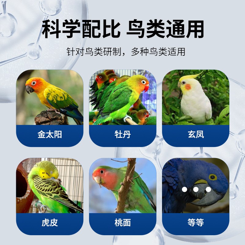 速发鸟用鹦鹉超维电解质牡丹玄风虎皮营养补充剂用电解质