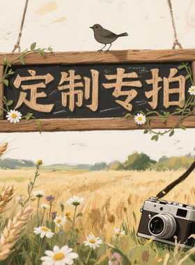 定制专拍/来图定制/纯手绘/手工DIY绘图/照片转油画/选赠画框