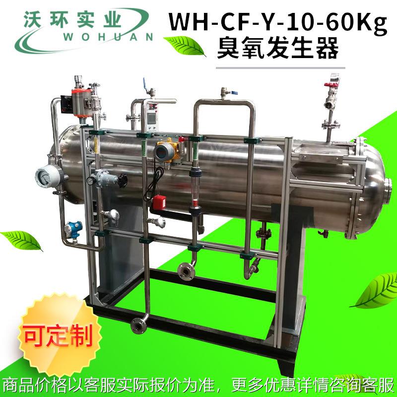 WH-CF-Y-10-60Kg臭氧发生器 废气污水处理消毒器空气净化发生器