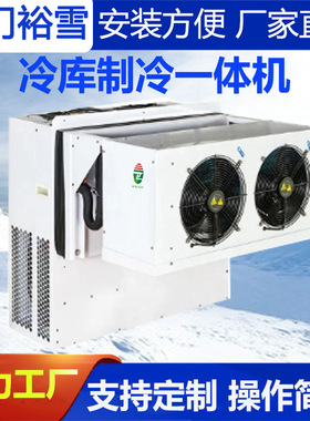 Monoblock Condensing Unit 定制冷库冷藏冷冻嵌入式冷库一体机