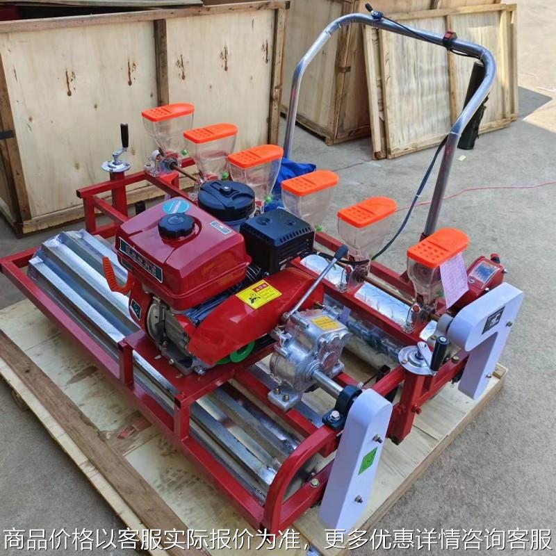 萝卜种子精播机 十行汽油精播机 自走式青菜种植机
