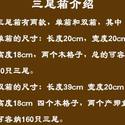 极速母蟋蟀蛐蛐三眼尾妹子箱笼饲养繁殖用单双箱木格产卵盒容纳80
