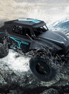 2 RC Car 2.4G Radio Remote Control Cars 15KM/H Off-Road RC M