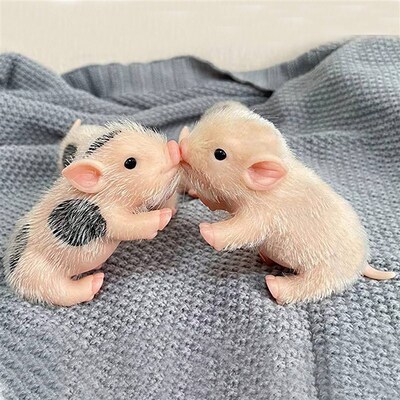 5 Inch Soft Silicone Pig Doll HighQuality Silicone Reborn