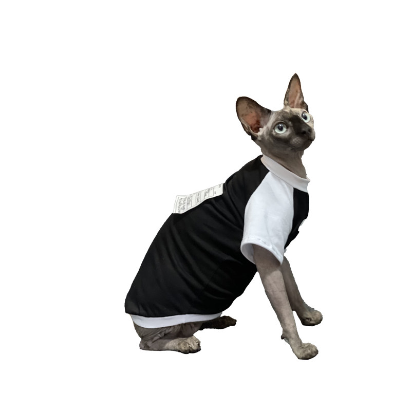 极速司芬克斯无毛猫衣服夏季潮牌纯棉短袖背心空调房防过敏德文猫