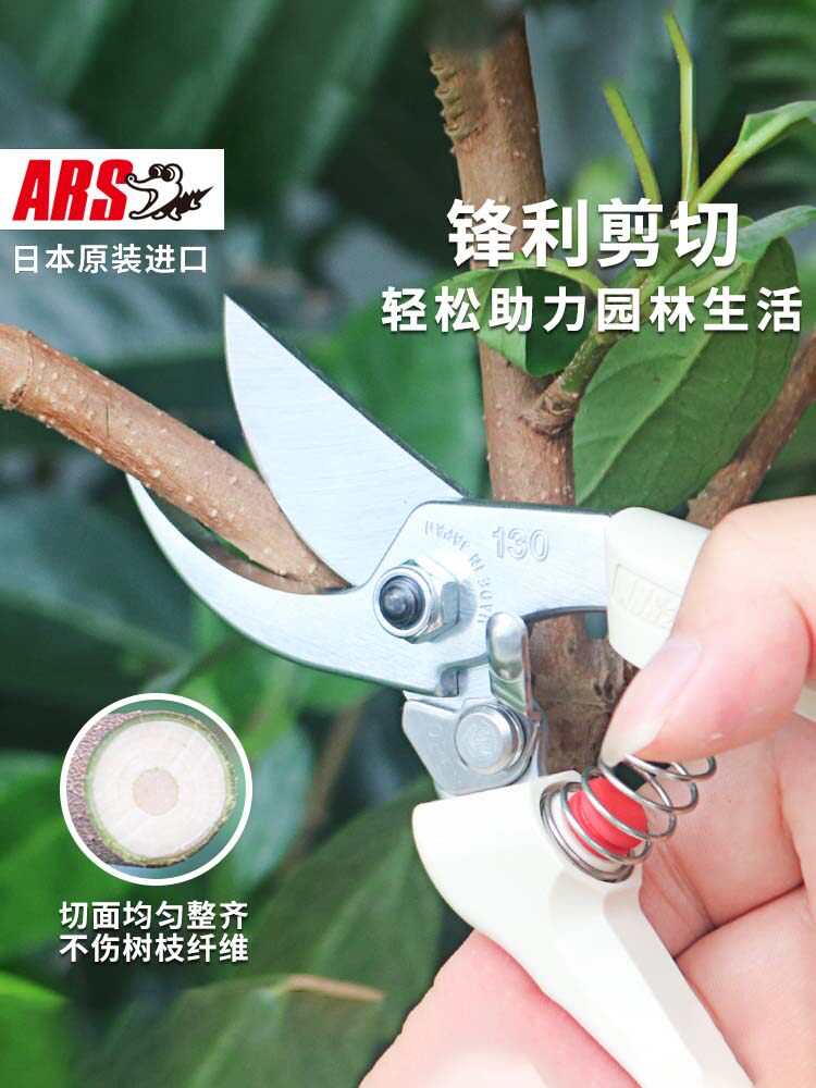 极速德国进口日本进口ARS爱丽斯修枝剪爱丽丝剪枝剪刀果树修剪树