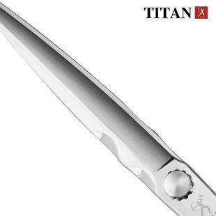 Titan Professional Hair Scissor Cutting Scissors