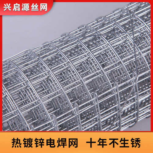 镀锌电焊网养殖铁丝网圈玉米钢丝网果园菜地防护网栅栏户外围栏网