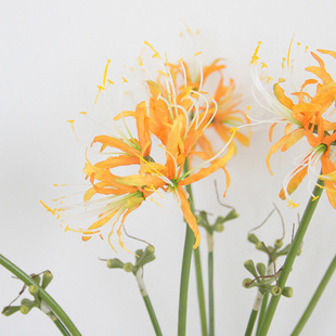 极速仿真彼岸花 石蒜花 曼陀罗假花 曼珠沙华绢花清新INS居家花摆