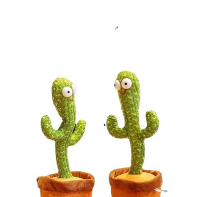 极速Dancing cactus dancing cactus enchanting flower cactus