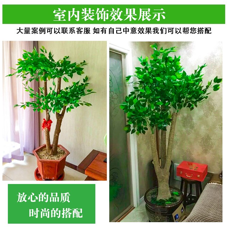 .仿真榕树叶装饰园林工程仿真叶子过胶假树叶树枝大枝树叶包邮中