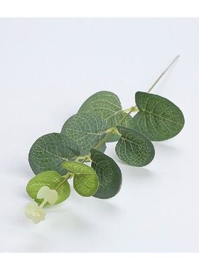 20pcspack Fake Plant Artificial Eucalyptus Leaf Home