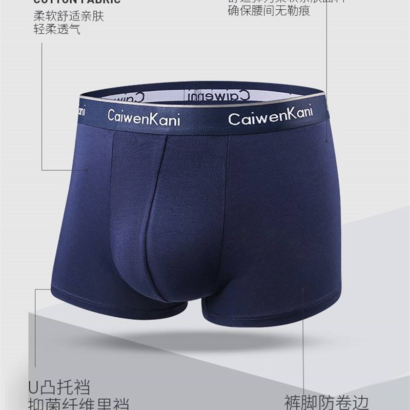 CK&LJRLTHO男士内裤纯棉薄款大尺码四角裤透气四角夏季短裤裤